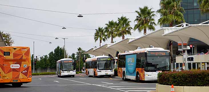 Transdev 1114, Ventura 1060, CDC Melbourne 165 & 88